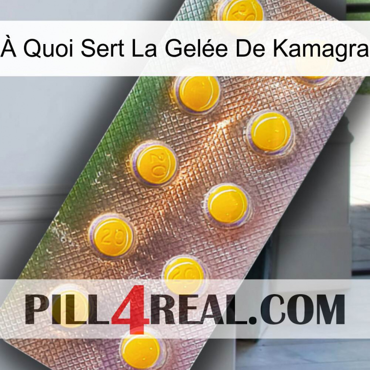 À Quoi Sert La Gelée De Kamagra new11
